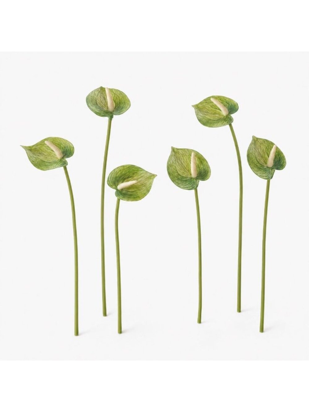 Soft Green Artificial Anthurium Stems, Set of 6, 11 Inch Real Touch Flowers